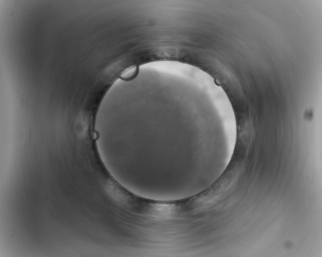 X0000101970233200808151345