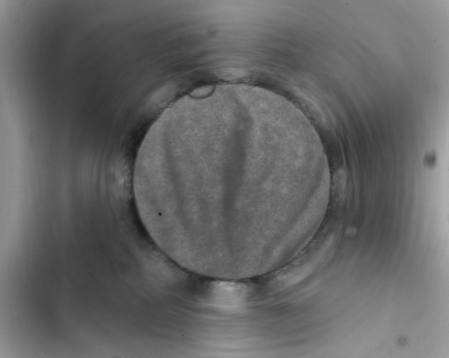 X0000101970234200808151345