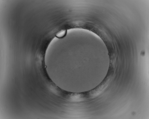 X0000101970235200808151345