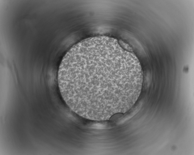X0000101970236200808151345