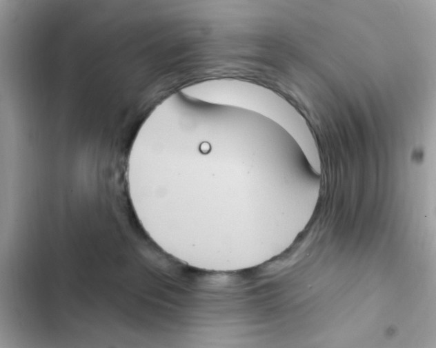 X0000101970237200808151345