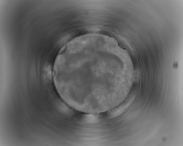 X0000101970238200808151345