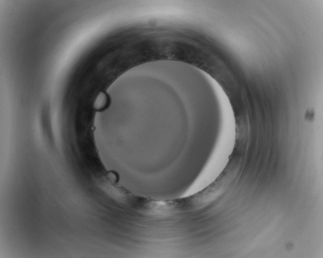 X0000101970239200808151345