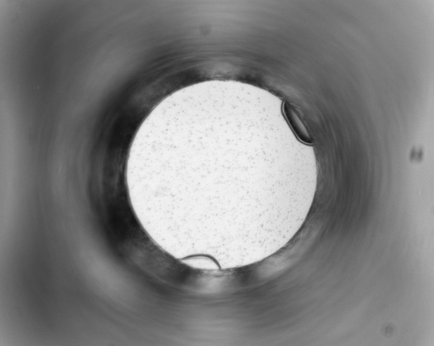 X0000101970240200808151345