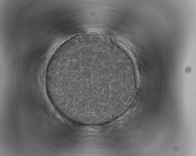 X0000101970241200808151344
