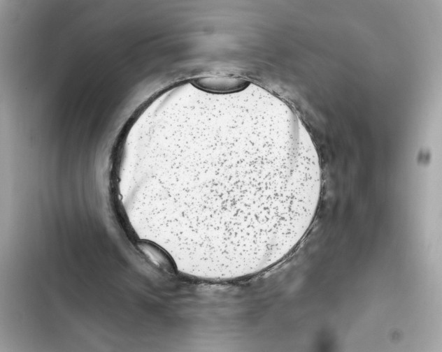 X0000101970242200808151344