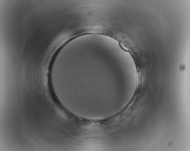 X0000101970243200808151344