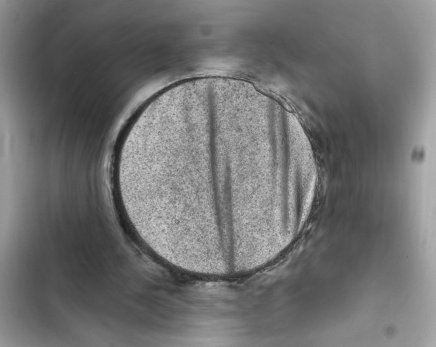 X0000101970244200808151344