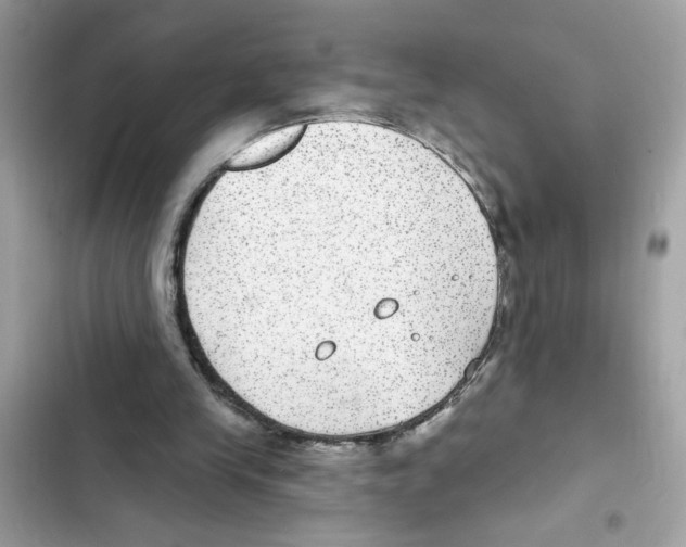X0000101970245200808151344