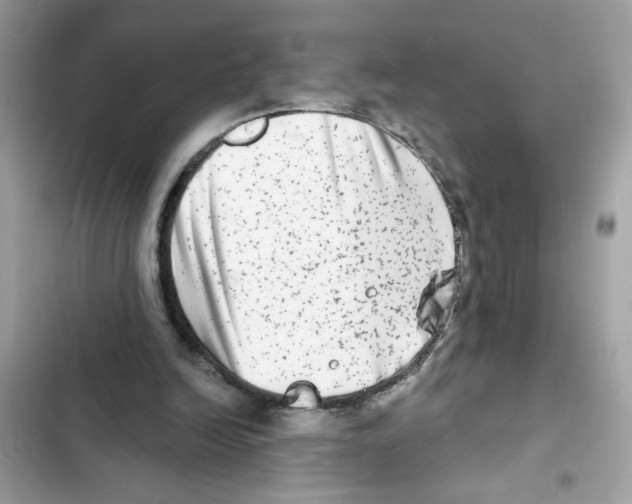 X0000101970246200808151344