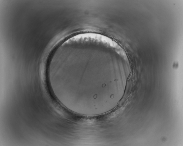 X0000101970247200808151344