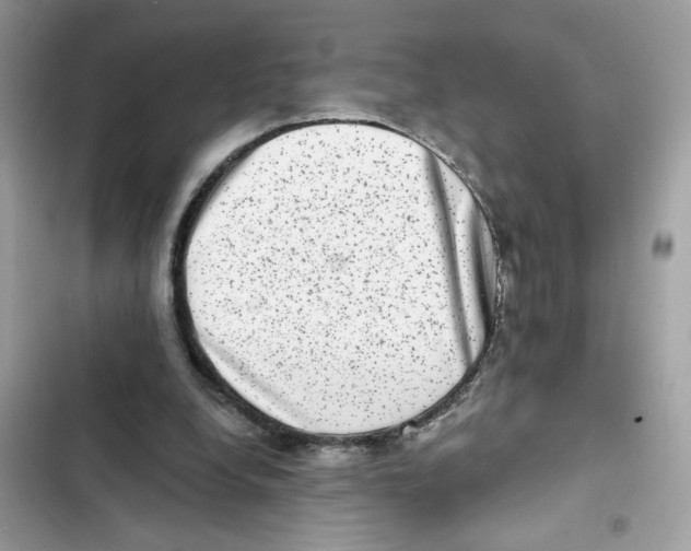 X0000101970248200808151344