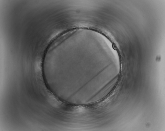 X0000101970249200808151344