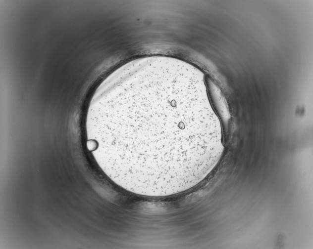 X0000101970250200808151344