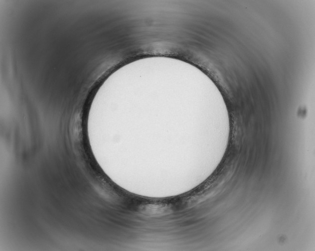 X0000101970251200808151344