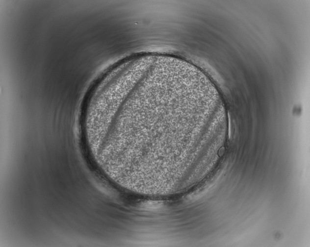X0000101970252200808151344