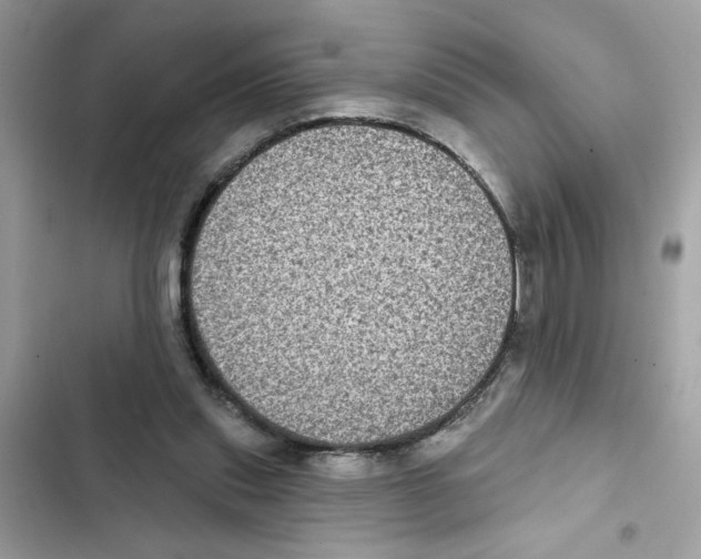 X0000101970253200808151345