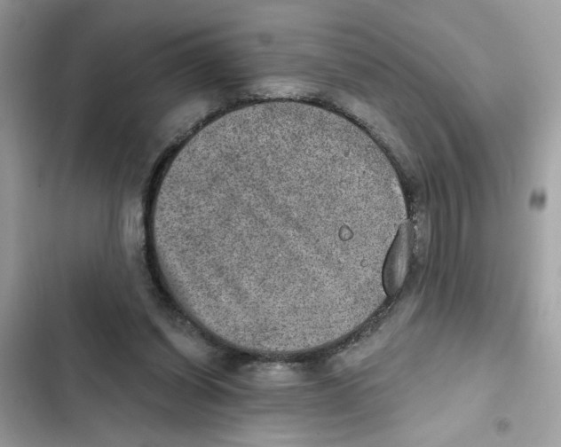X0000101970254200808151345