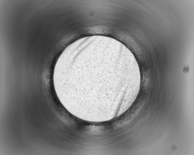 X0000101970255200808151345