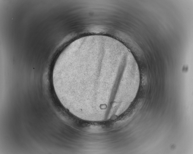 X0000101970256200808151345