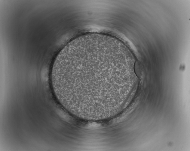 X0000101970257200808151345