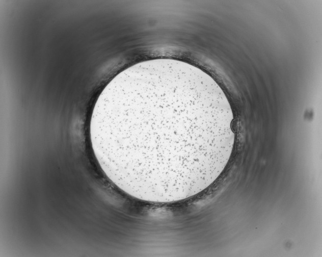 X0000101970258200808151345
