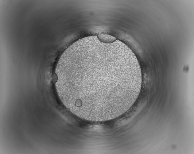 X0000101970259200808151345