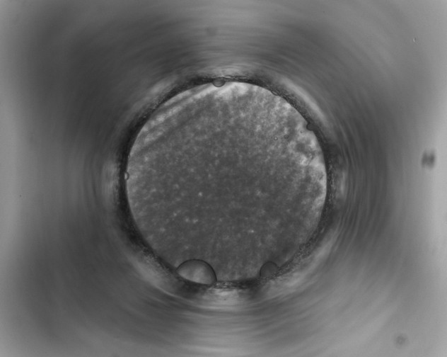 X0000101970260200808151345