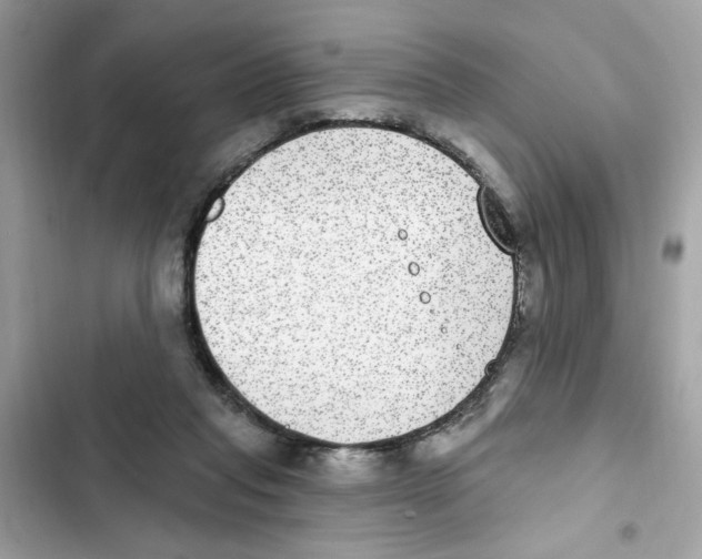 X0000101970261200808151345