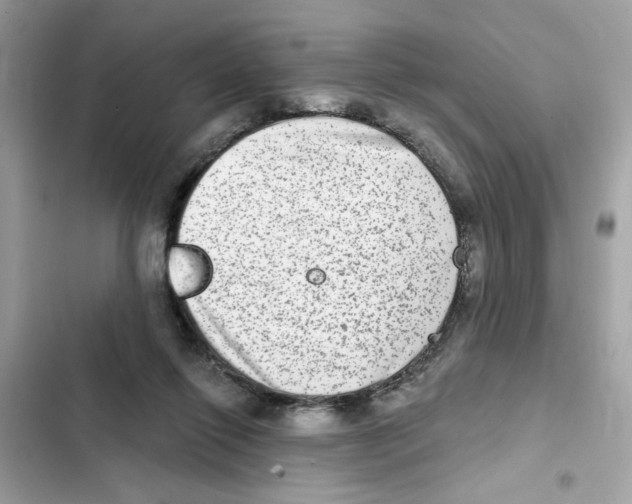 X0000101970262200808151345