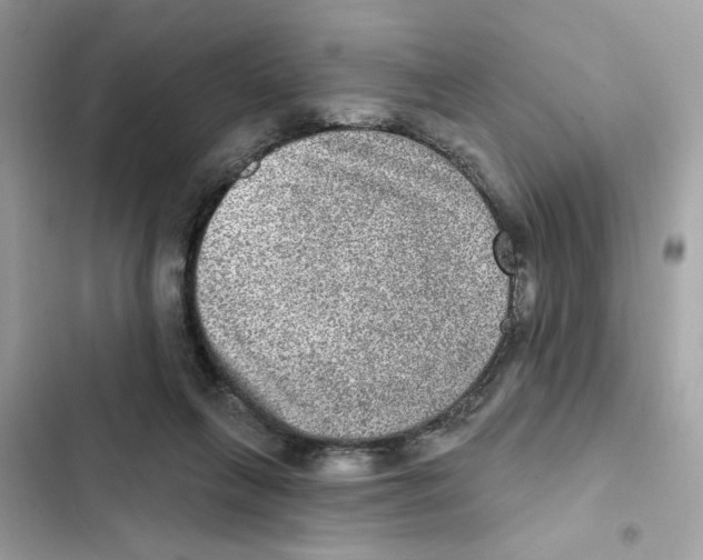 X0000101970263200808151345