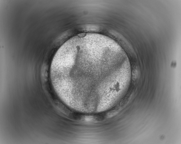 X0000101970264200808151345