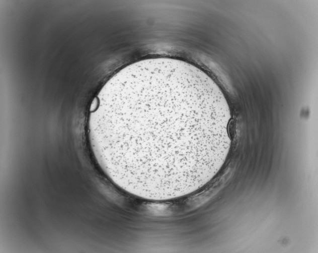 X0000101970265200808151345