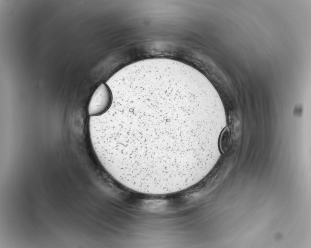 X0000101970266200808151345