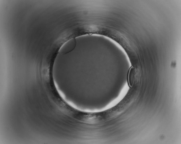 X0000101970267200808151345