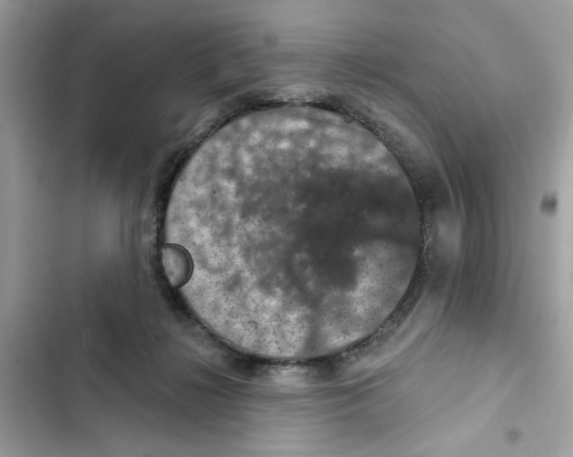 X0000101970268200808151345
