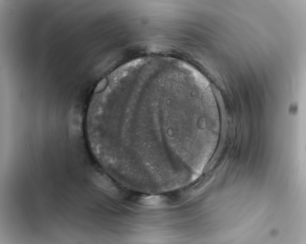 X0000101970269200808151345