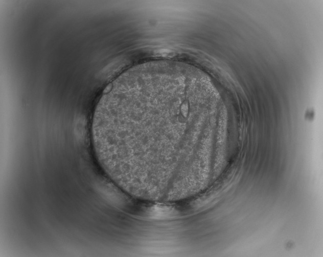 X0000101970270200808151345