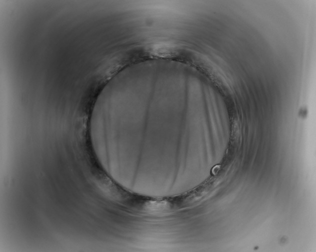 X0000101970271200808151345