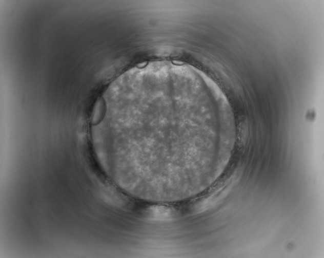 X0000101970272200808151345