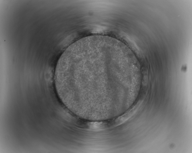 X0000101970273200808151345