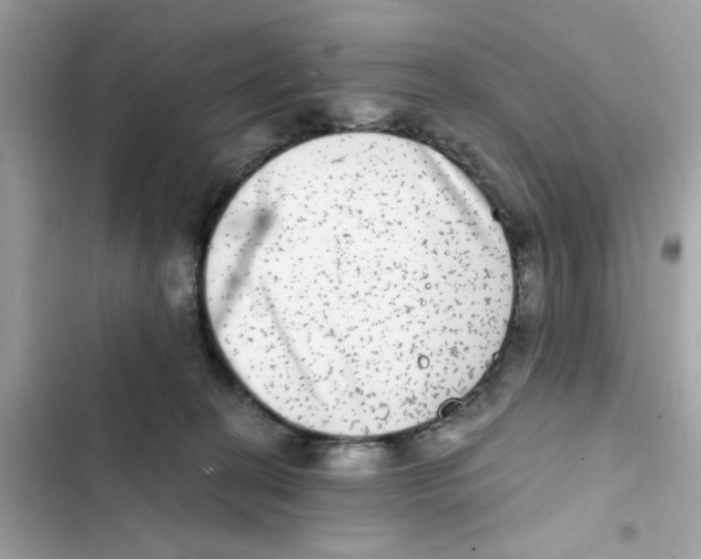 X0000101970274200808151345