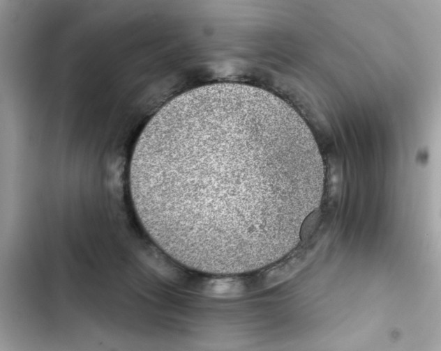 X0000101970275200808151345