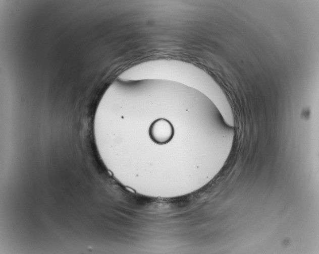 X0000101970276200808151345