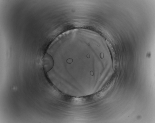 X0000101970277200808151345