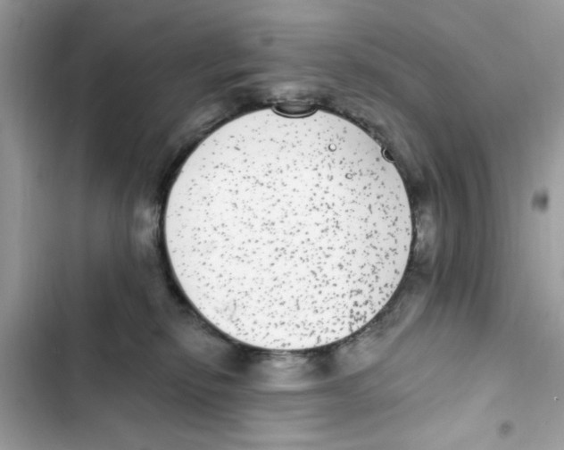 X0000101970278200808151345