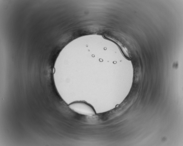X0000101970279200808151345