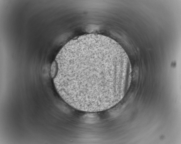 X0000101970280200808151345