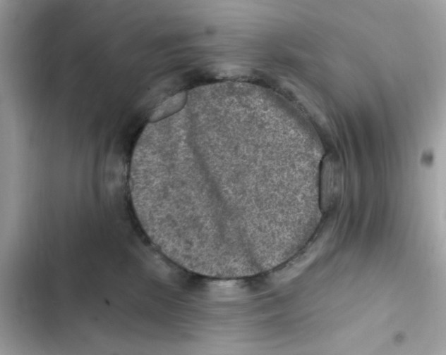 X0000101970281200808151345