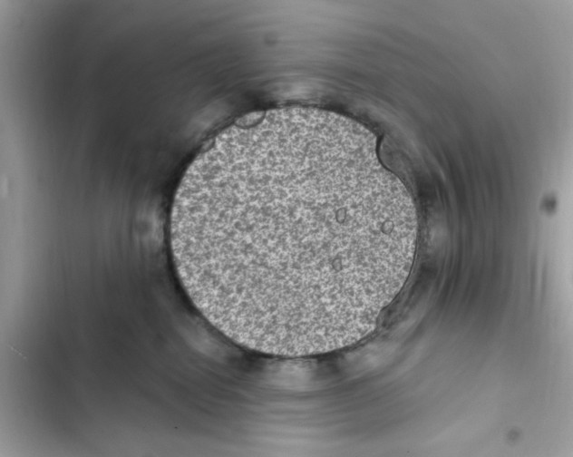 X0000101970282200808151345